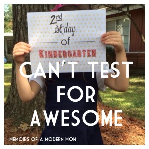 Kindergarten: Cant Test for Awesome